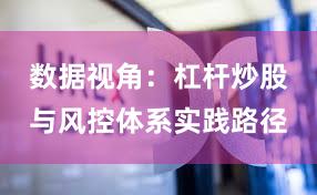数据视角：杠杆炒股与风控体系实践路径